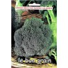 Seminte Broccoli Ramoso Calabrese - 7 grame