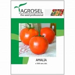 Seminte tomate Amalia -...